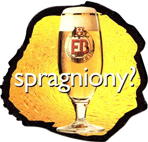 elblag wm-pl elbrewery eb sofo 4a (225-spragniony)